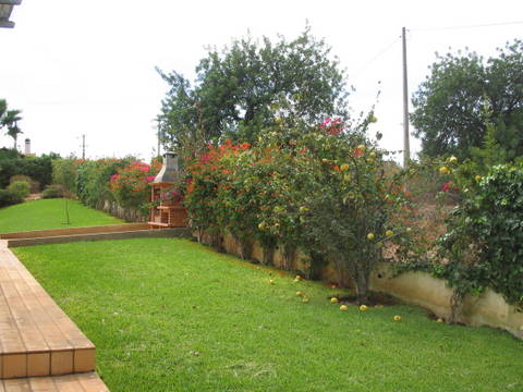Fruit Trees Fruit Trees