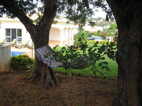 Hammock under the trees Hammock under the trees