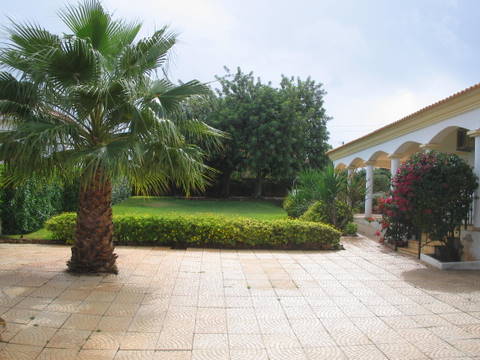 Garden view from carpor Garden view from carpor