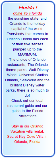 Rent Villas in Florida